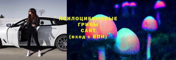 гидропоника Богородицк