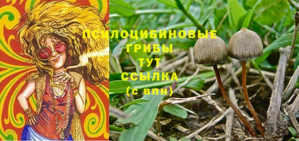 spice Богородск