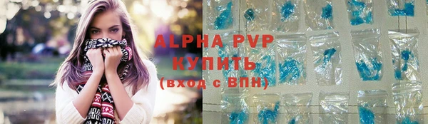 spice Богородск